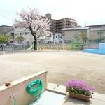 木根川保育園の写真2