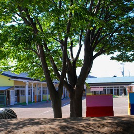 光風台幼稚園の写真2