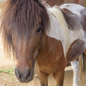 ケアーズ保育園の写真6
