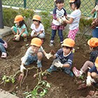 東平塚保育園の写真2
