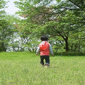 野上保育園