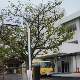 わかくさ幼稚園