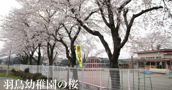 羽鳥幼稚園