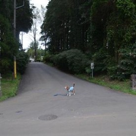 沼前幼稚園