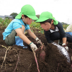 西巣鴨・学びの保育園の写真4