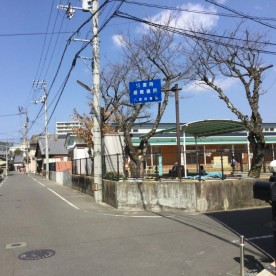 八雲保育園