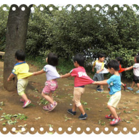 陽光保育園の写真3