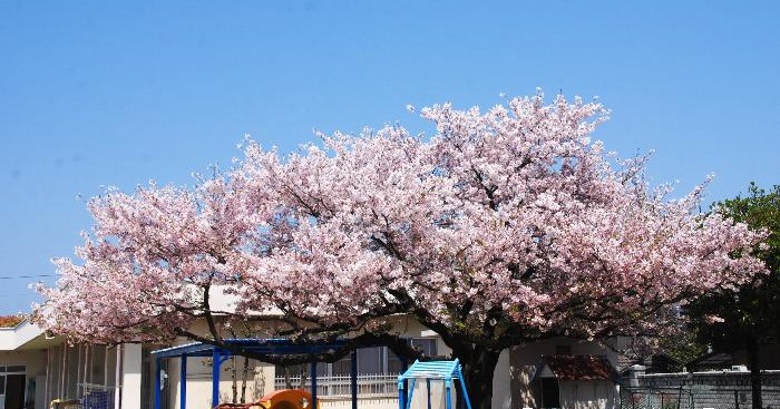 高津保育園