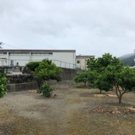 寒川保育園の写真2
