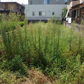 大和保育園の写真2