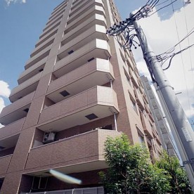 春岡保育園の写真2