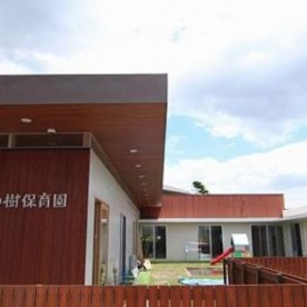ゆめの樹保育園