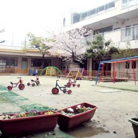 菜の花保育園