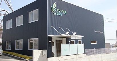 オリーブの樹保育園