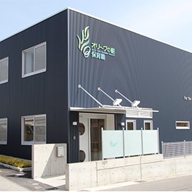 オリーブの樹保育園