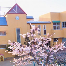 認定こども園光和幼稚園の写真2
