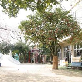 天満幼稚園