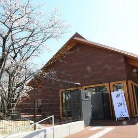 椙山女学園大学附属椙山こども園の写真2