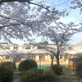 ののかぜ保育園