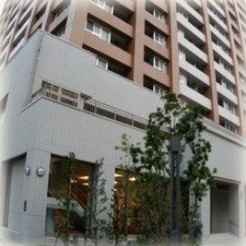小規模保育事業　保育ルーム　ルナⅡ丸の内の写真3