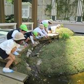 日本橋保育園