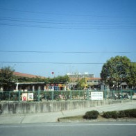 井田保育園