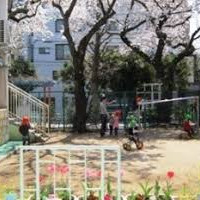 笹塚保育園の写真4