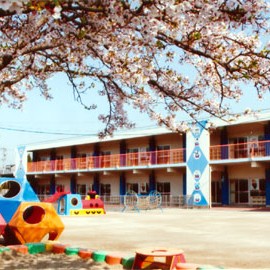 幼保連携型認定こども園　昭和幼稚園