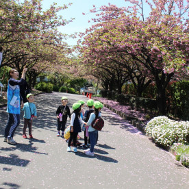 保育園ミルキーウェイ亀戸園の写真4