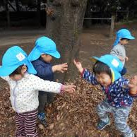 えがおの森保育園・かつしまの写真3