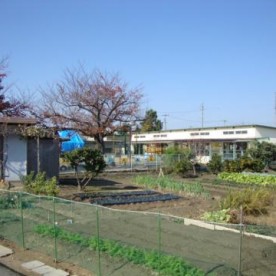 西部保育園の写真2