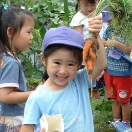 ひらしば幼稚園
