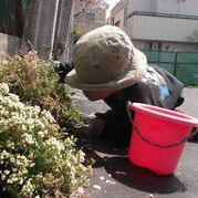 奥沢保育園の写真5
