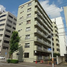 大池保育園の写真3