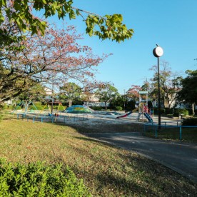 山根保育園の写真2