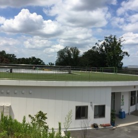 もりの風こども園