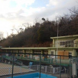 水南保育園の写真2