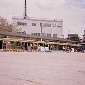 はな保育室きょうわ駅前の写真2