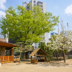 けやきの木保育園分園（けやきの木分園）