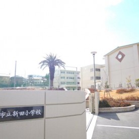 知多市立新田保育園の写真2