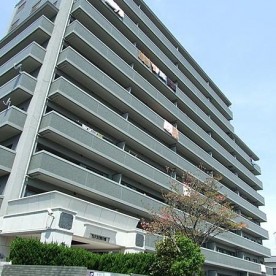 ぶどうの木保育園の写真2