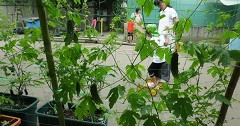 桜台保育園