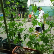 桜台保育園の写真4