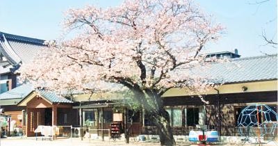 真和保育園