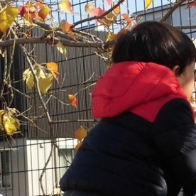 日出みみょう幼児園（分園）の写真3