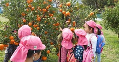 高松保育園