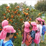 高松保育園の写真4