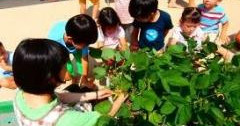 桜台第二保育園