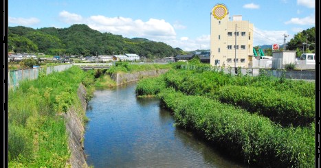 ひまわりいしうち保育園