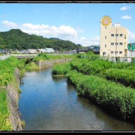 ひまわりいしうち保育園